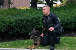 5.11 Tactical Men's Rapid Ops Shirt 72199 -Vanguard Uniforms 5.11 tactical mens rapid ops shirt 72199 72199 44457.1606944214